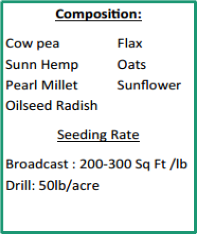 WCS Garden Summer Mix