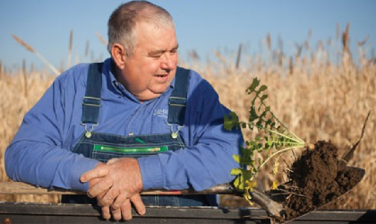 field of wheat behind a man stand