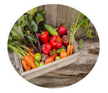 basket of vegetables